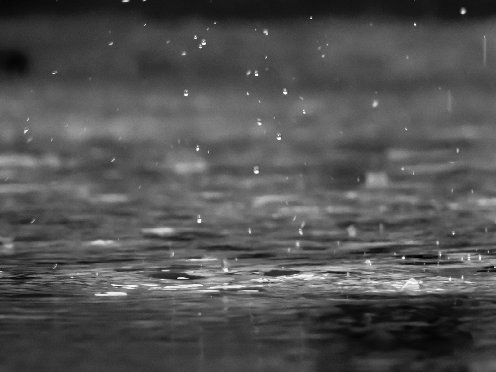 Moving during the monsoon without ruining everything